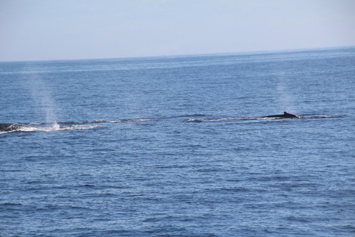 IMG_1708.JPG