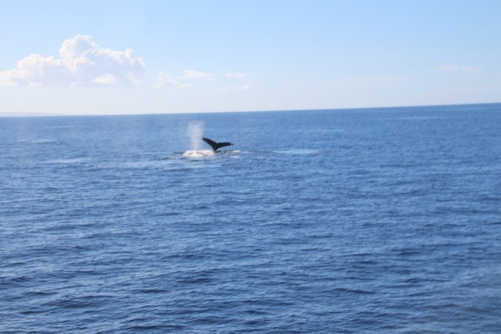 IMG_1721.JPG