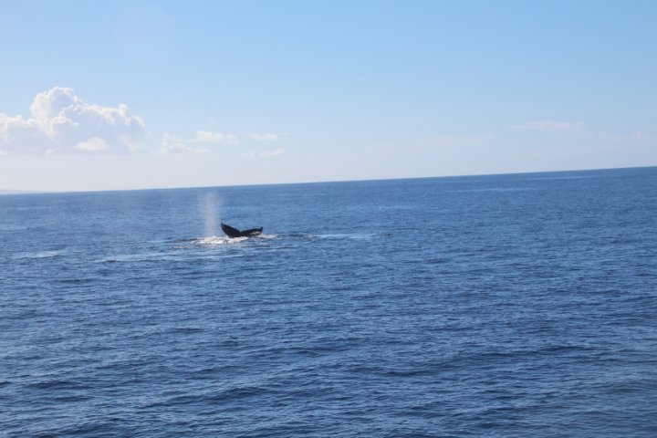 IMG_1722.JPG