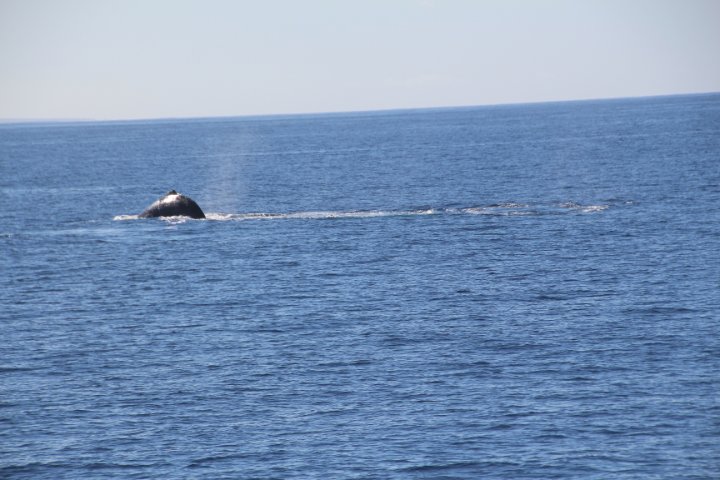 IMG_1735.JPG