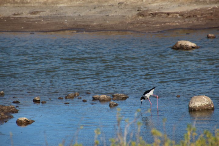 IMG_1796.JPG