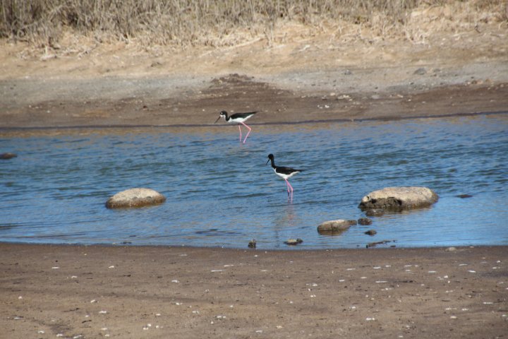 IMG_1805.JPG