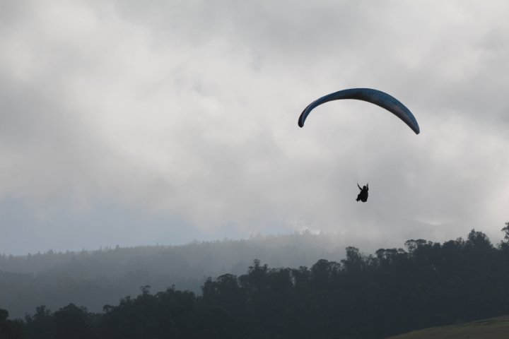 IMG_1911.JPG