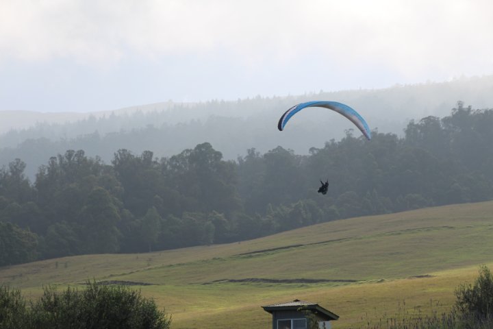 IMG_1913.JPG