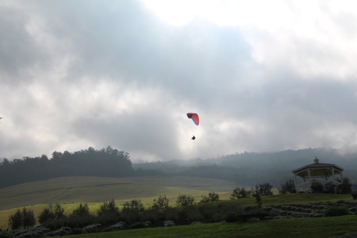 IMG_1920.JPG
