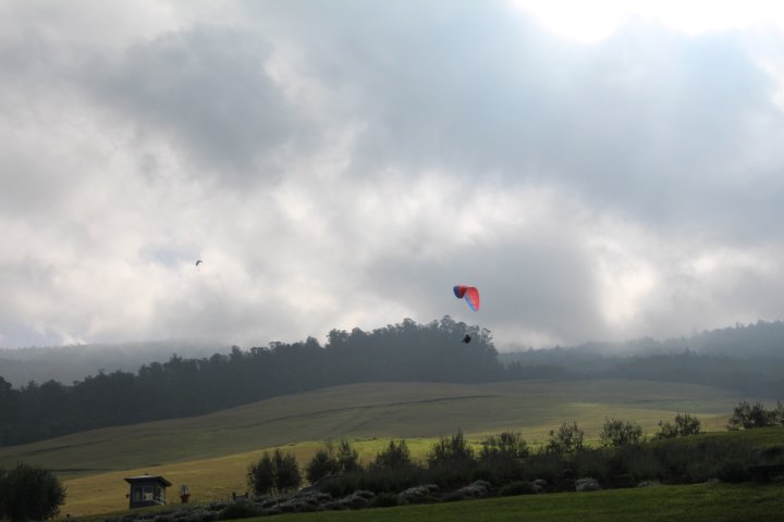 IMG_1921.JPG