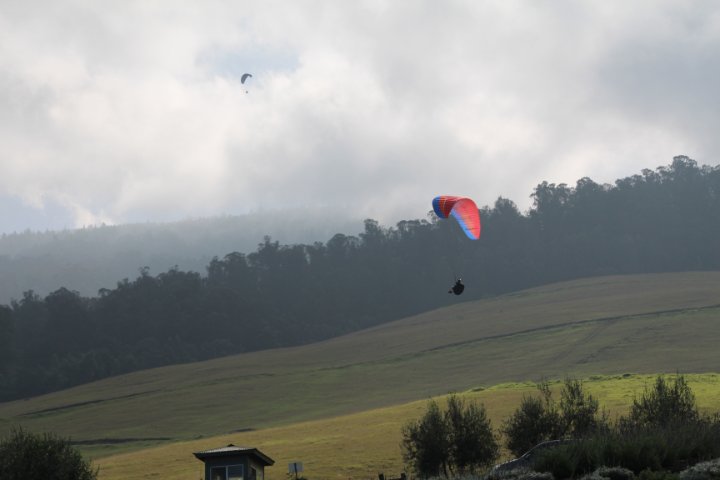 IMG_1922.JPG