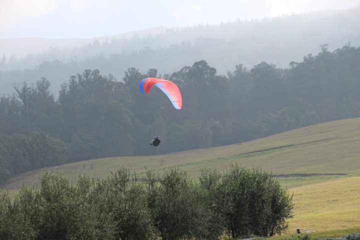 IMG_1926.JPG
