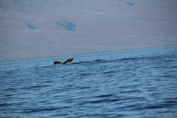 IMG_1981.JPG
