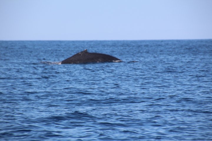 IMG_2001.JPG