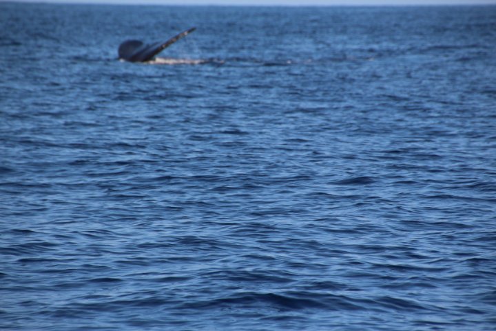 IMG_2003.JPG
