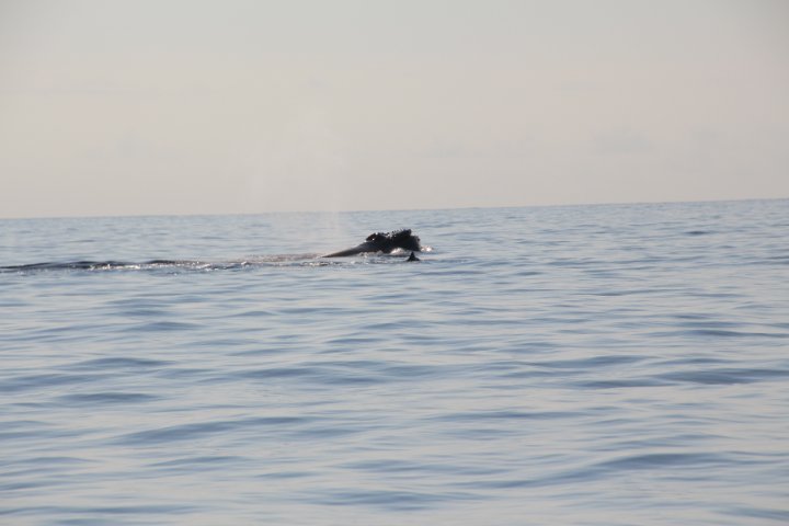 IMG_2006.JPG