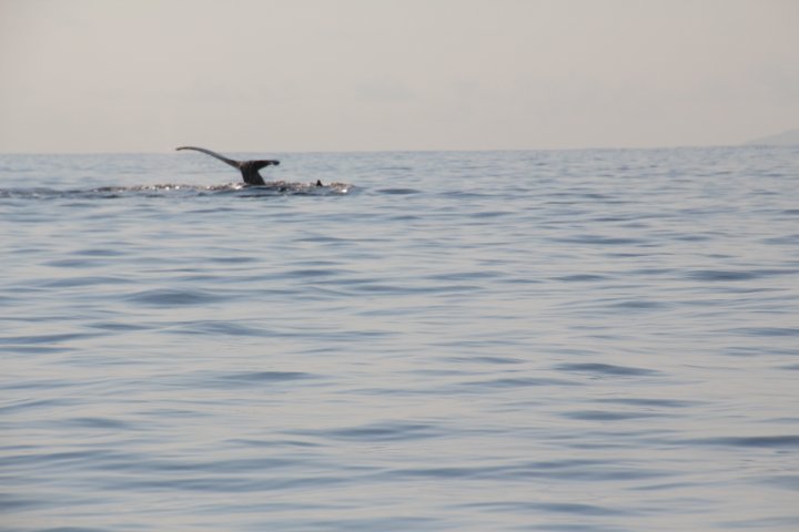 IMG_2012.JPG