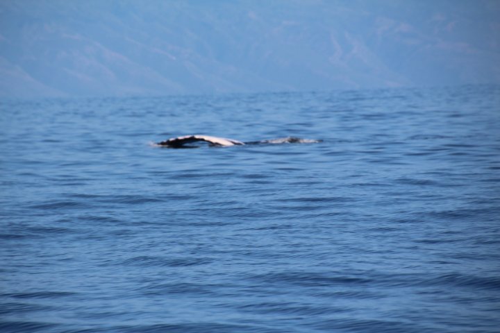 IMG_2023.JPG