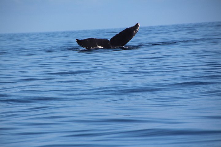 IMG_2033.JPG