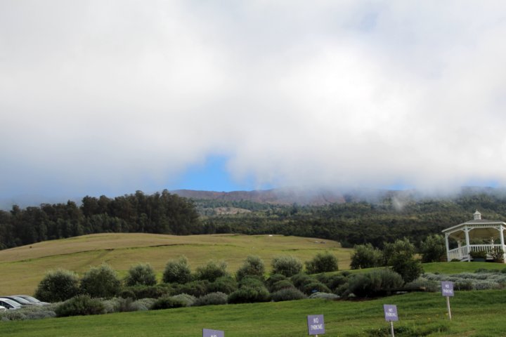 IMG_2639.JPG