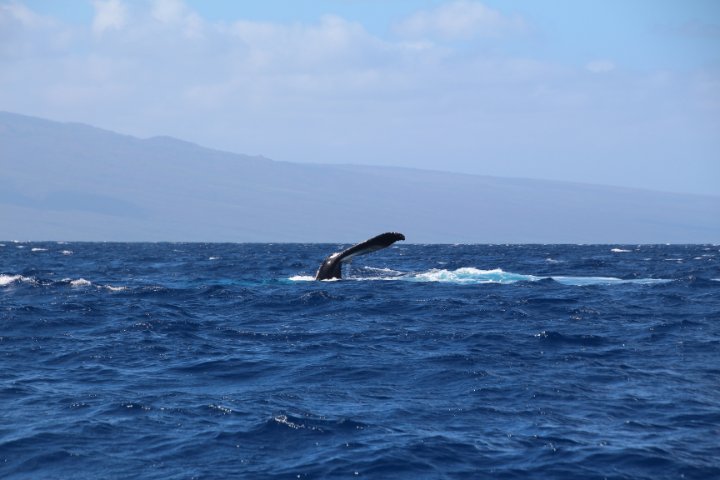IMG_2689.JPG