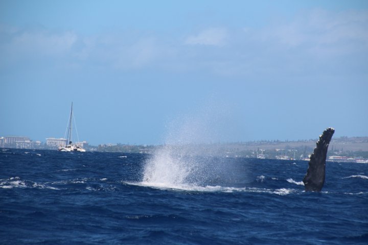 IMG_2721.JPG