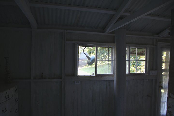 IMG_3275.JPG