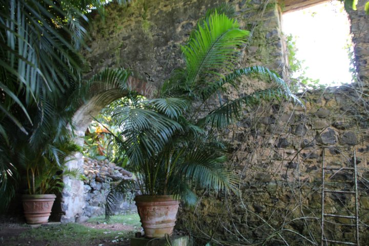 IMG_3320.JPG
