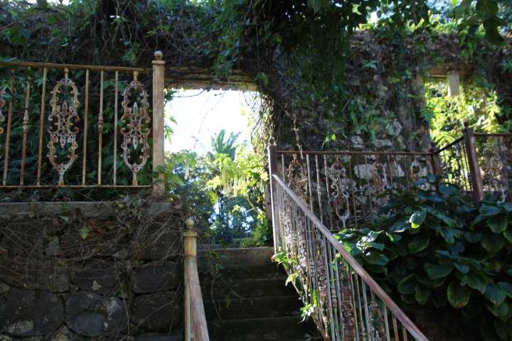 IMG_3341.JPG