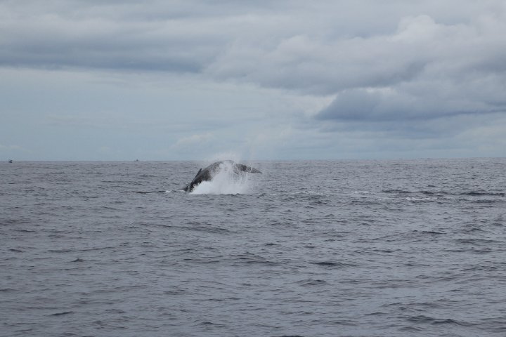 IMG_3435.JPG