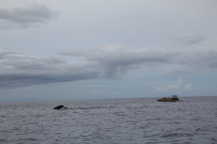IMG_3439.JPG