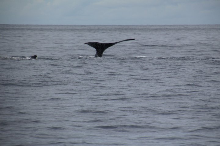 IMG_3452.JPG
