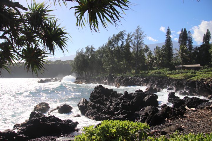 IMG_1867.JPG