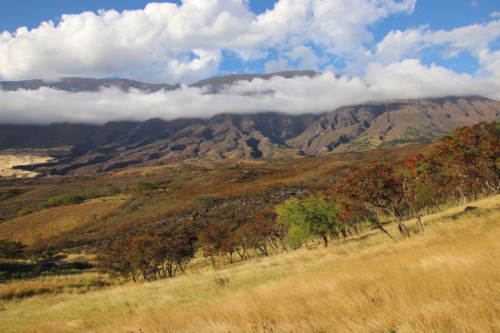 IMG_1926.JPG
