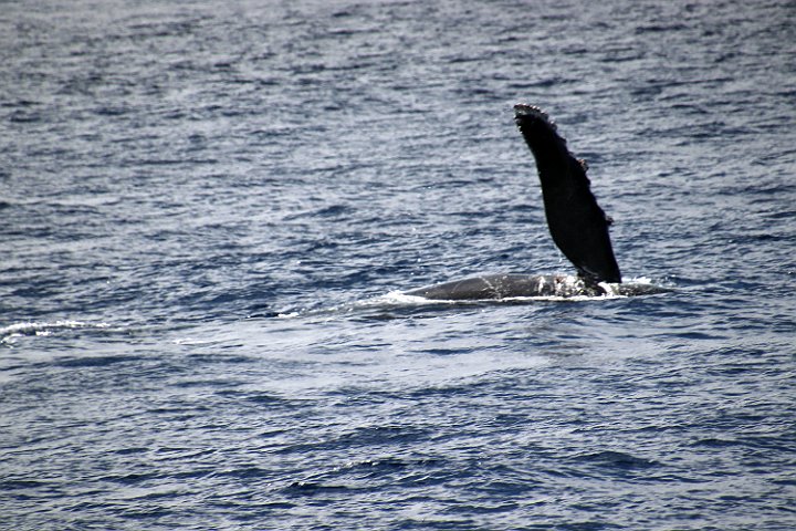 IMG_1946.JPG