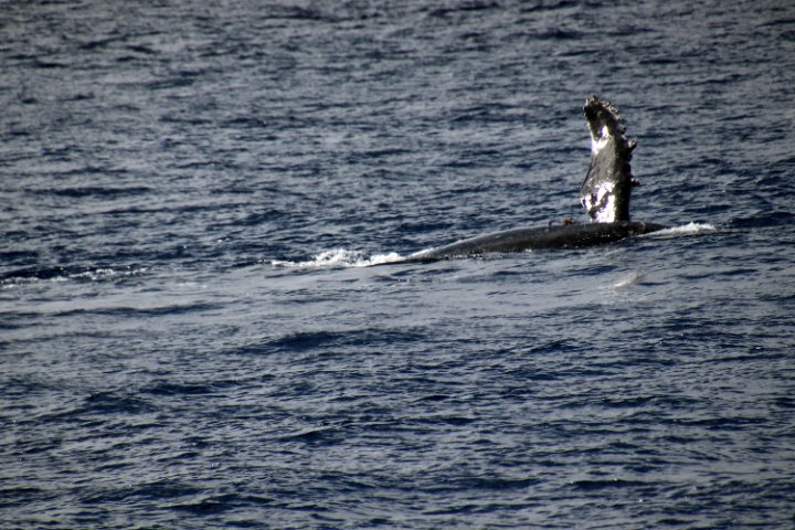 IMG_1947.JPG