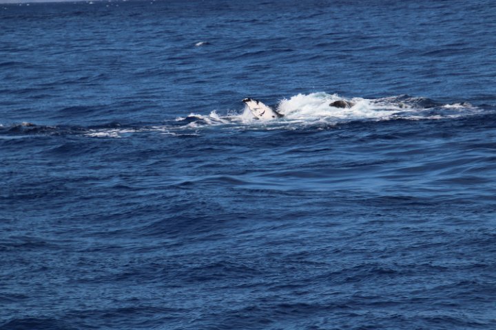 IMG_1963.JPG