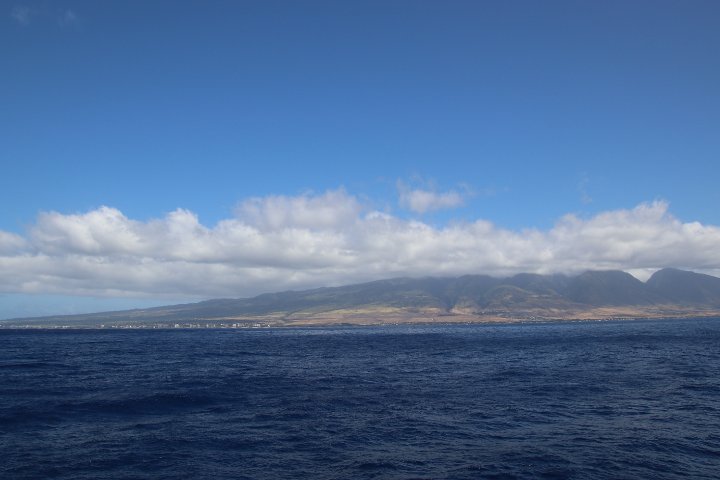 IMG_1980.JPG