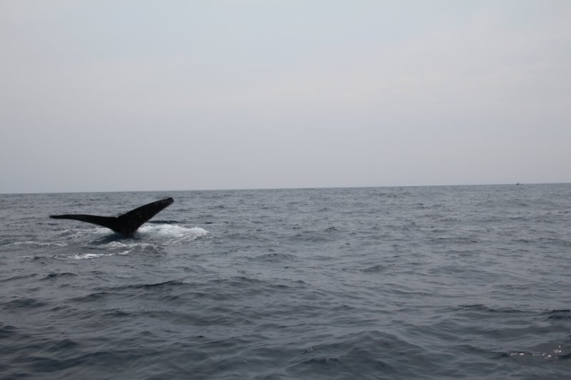 IMG_0975.JPG