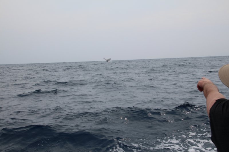 IMG_0980.JPG