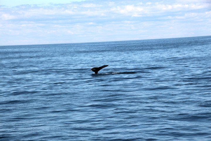 IMG_2169.JPG