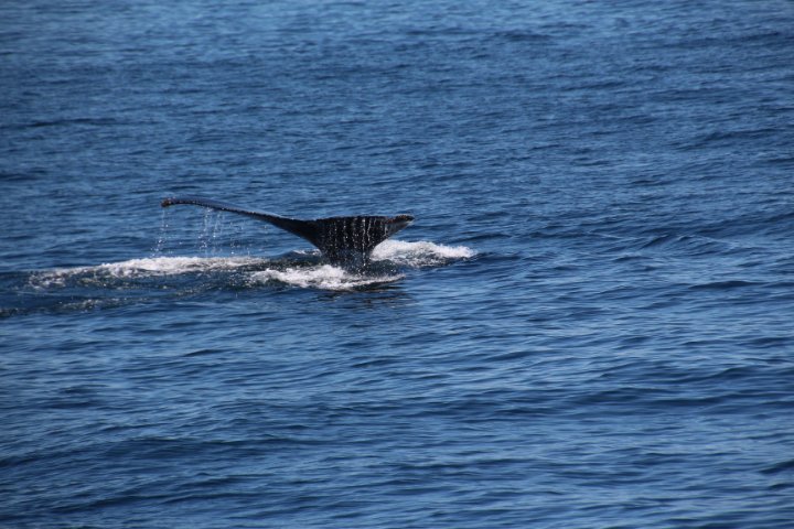 IMG_2304.JPG