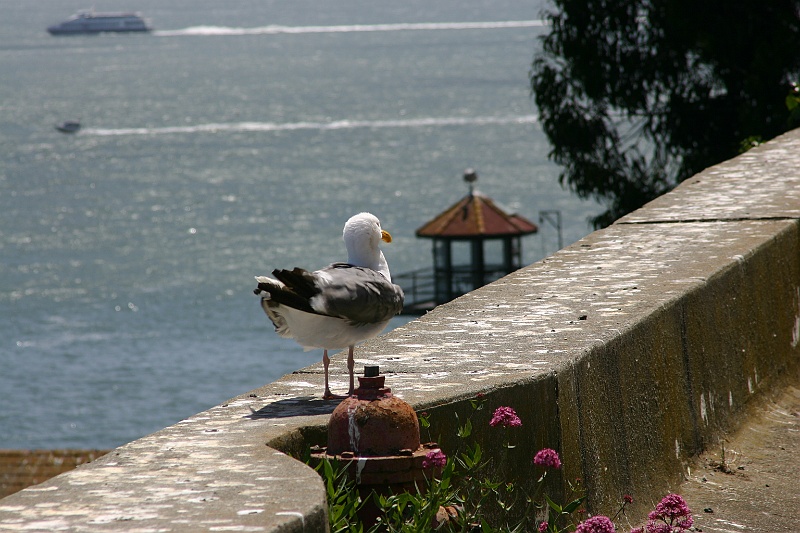 IMG_0333.JPG