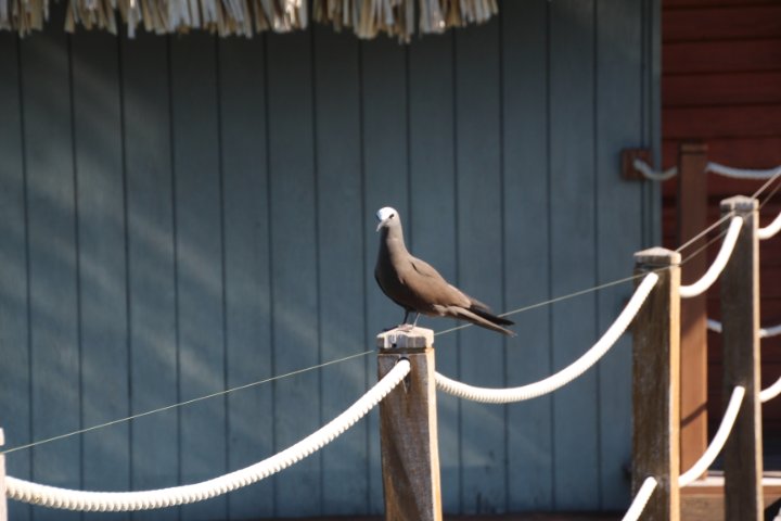 IMG_1038.JPG