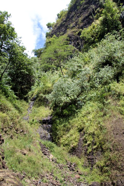 IMG_1055.JPG