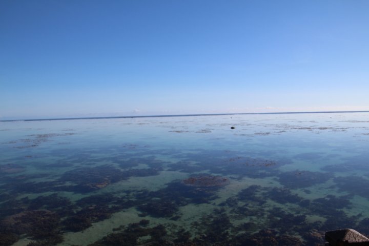IMG_1114.JPG