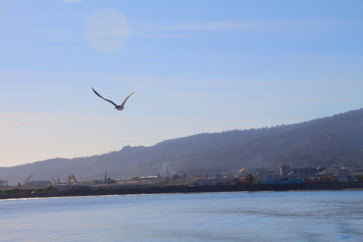 IMG_1161.JPG