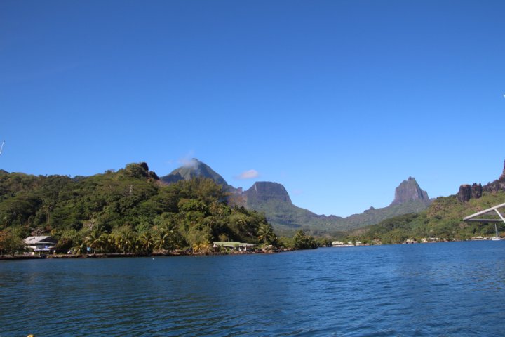 IMG_1200.JPG