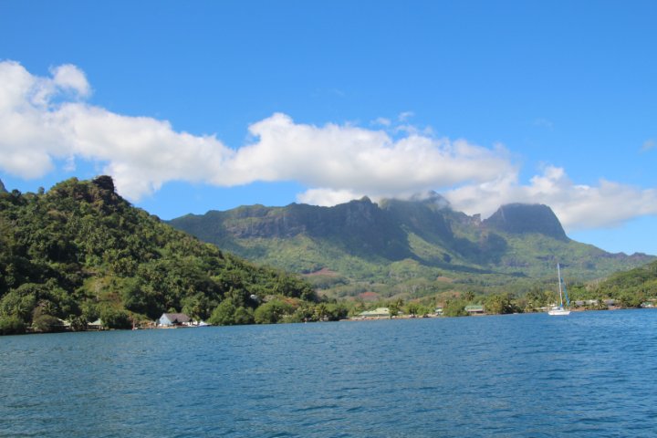 IMG_1220.JPG
