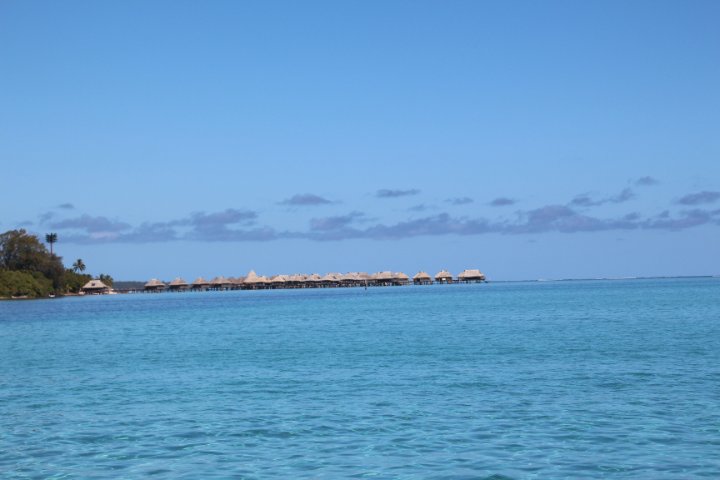 IMG_1226.JPG