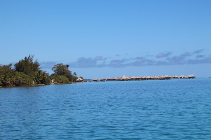 IMG_1229.JPG