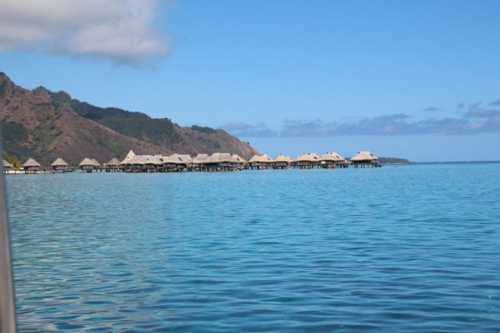IMG_1237.JPG