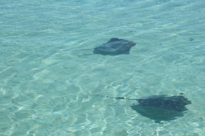 IMG_1258.JPG