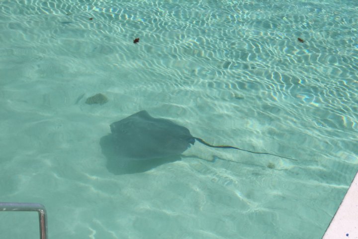 IMG_1260.JPG
